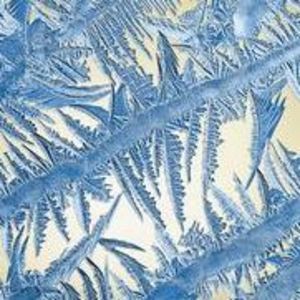 Meet your Posher, Tigar